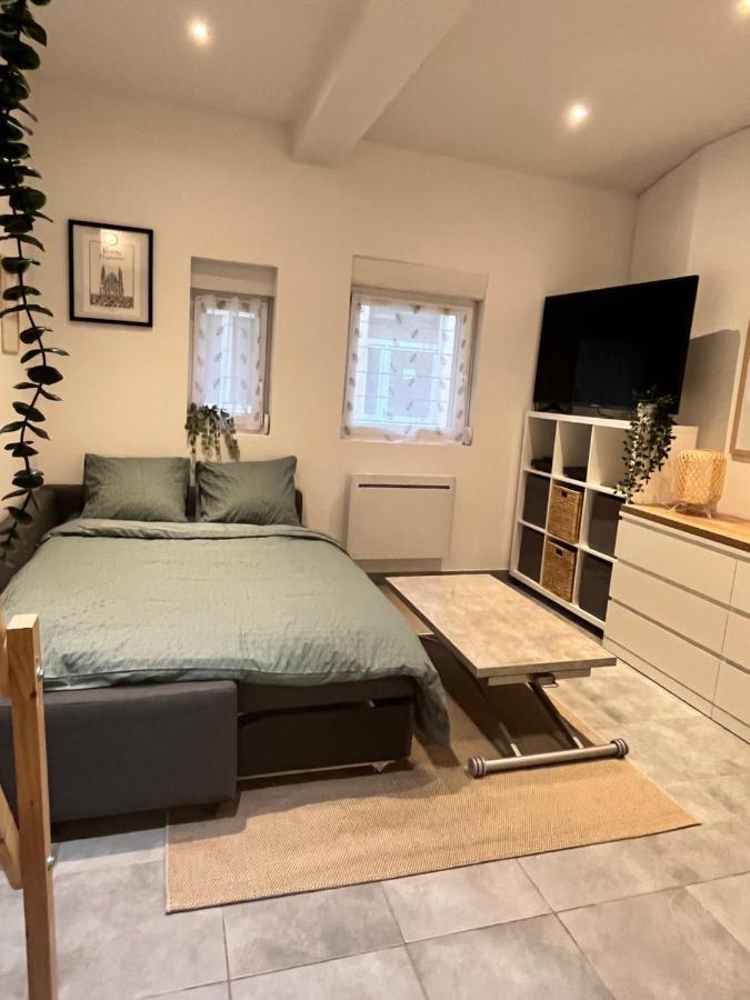 Le Remois Studio Cosy Hyper Centre 兰斯 外观 照片